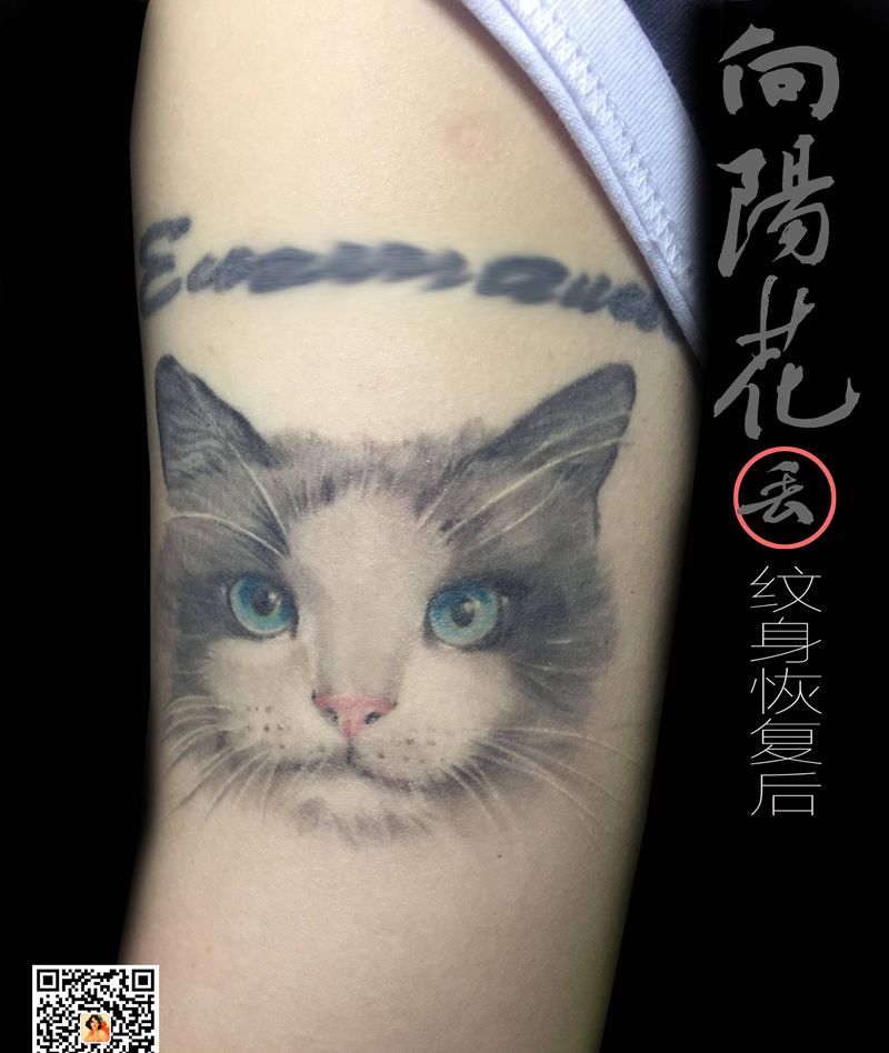 爱宠纹身图片_手臂欧美写实猫纹身图案