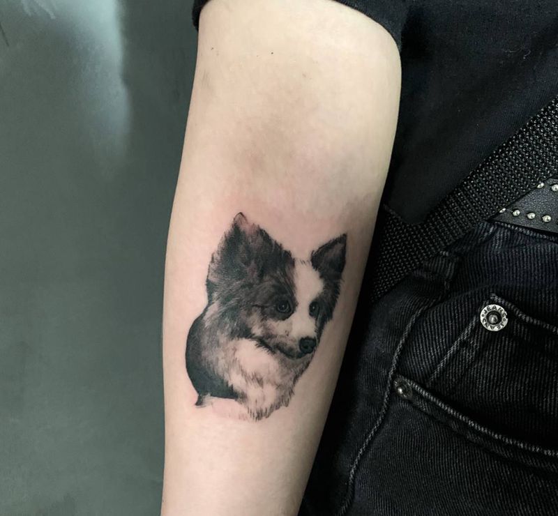 写实 边牧纹身图片_手臂欧美写实纹身图案