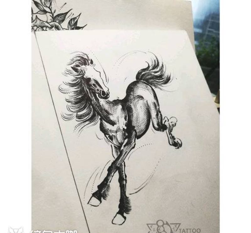 悲鸿马笔意 手稿纹身图片