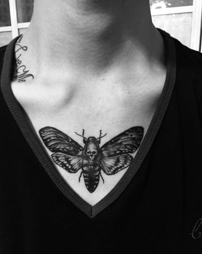 蛾子纹身图片