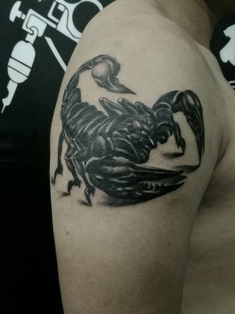 蝎子纹身图片