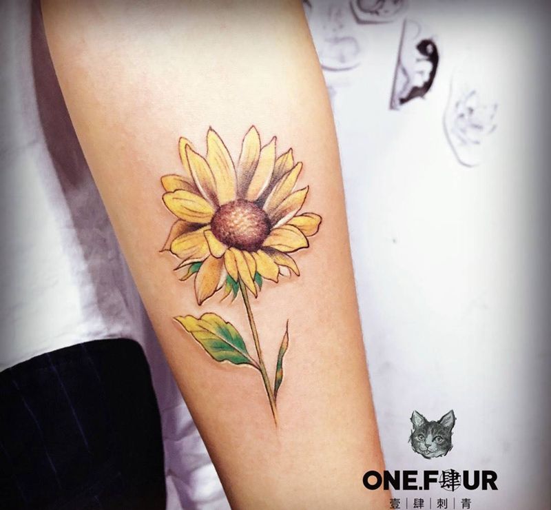 sunflower纹身图片