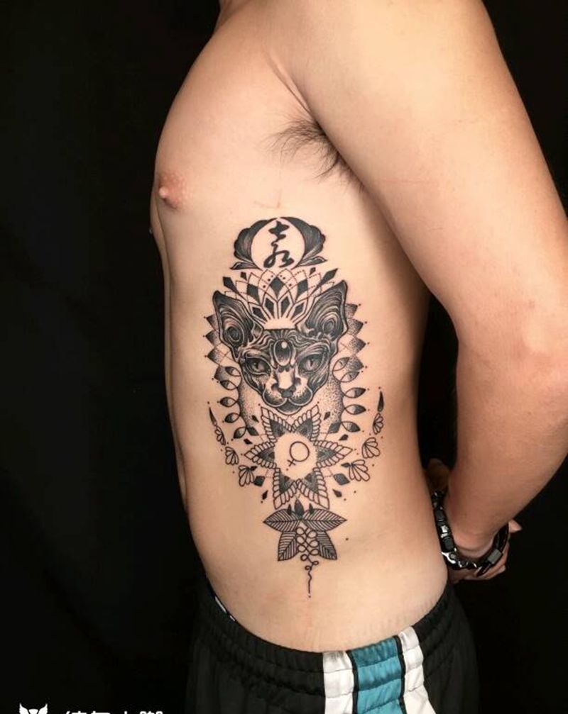 斯芬克斯无毛猫纹身图片