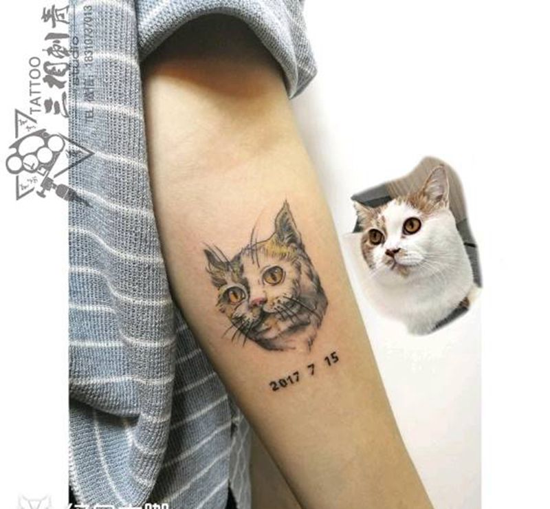 『爱宠肥猫』纹身图片