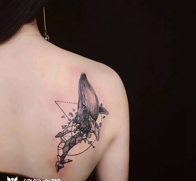 鲸鱼纹身图片