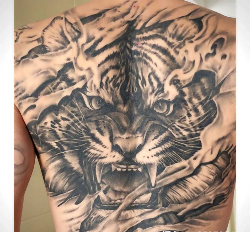 满背老虎恢复 还差一次纹身图片_欧美写实纹身图案