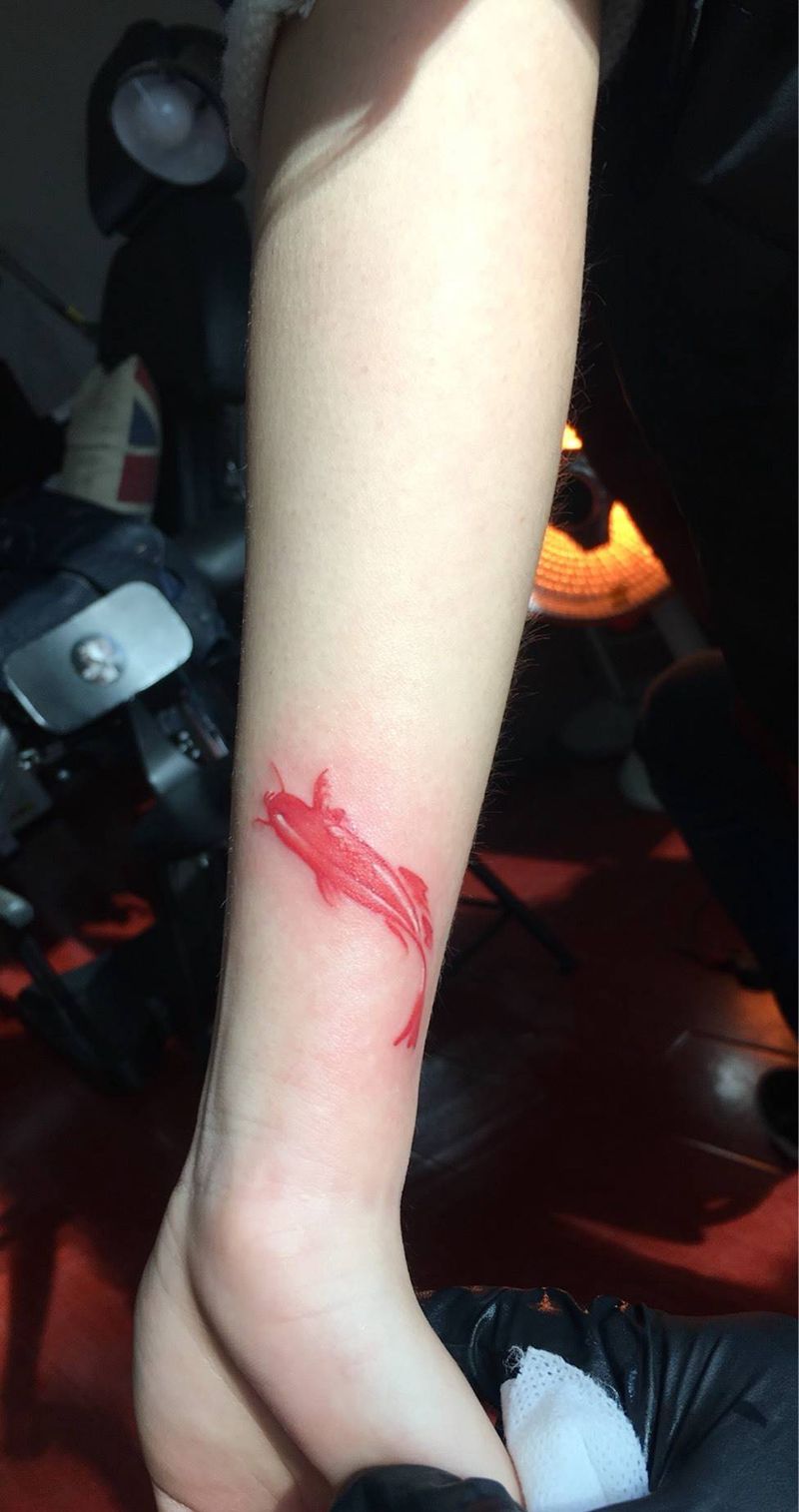 鱼 遮盖小纹身纹身图片