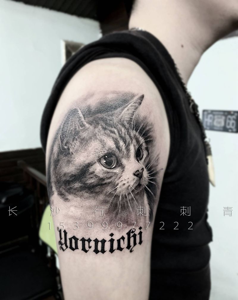 客人家的猫纹身图片_手臂欧美写实纹身图案
