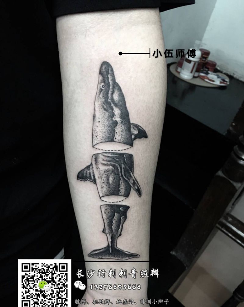 鲨鱼纹身图片