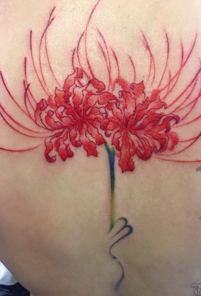 原创彼岸花纹身图片_背部水彩欧美写实彼岸花纹身图案