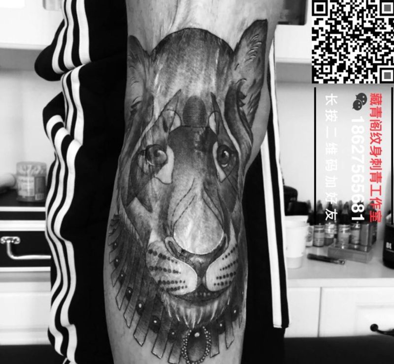 伤疤遮盖：狮子纹身图片