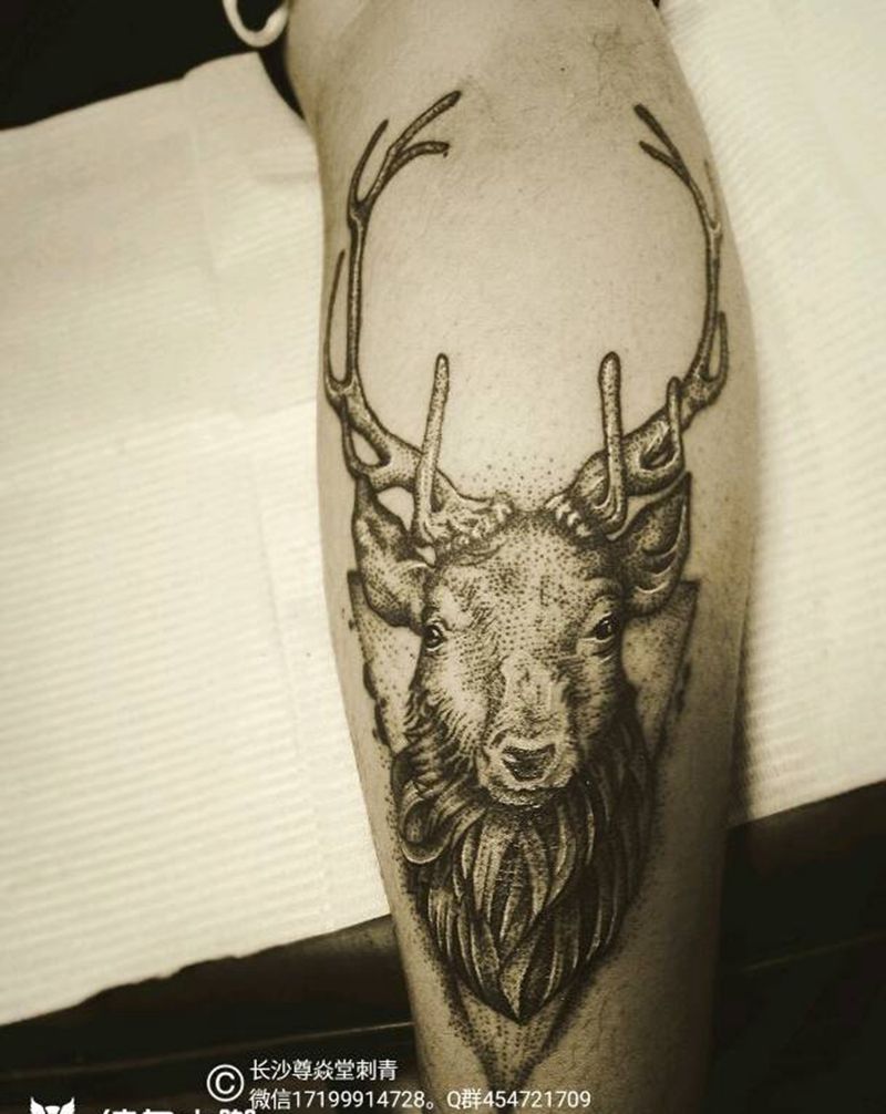 鹿纹身图片