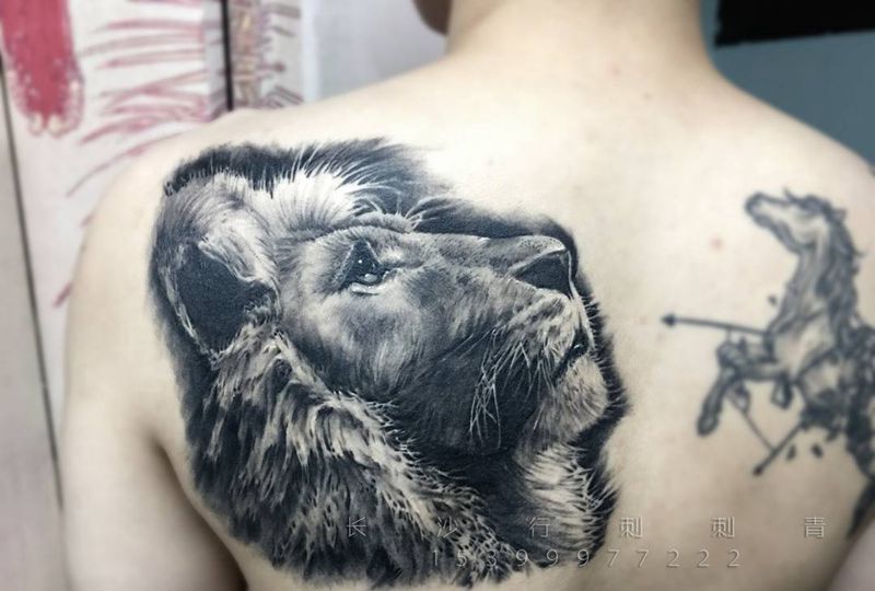 狮子恢复后纹身图片