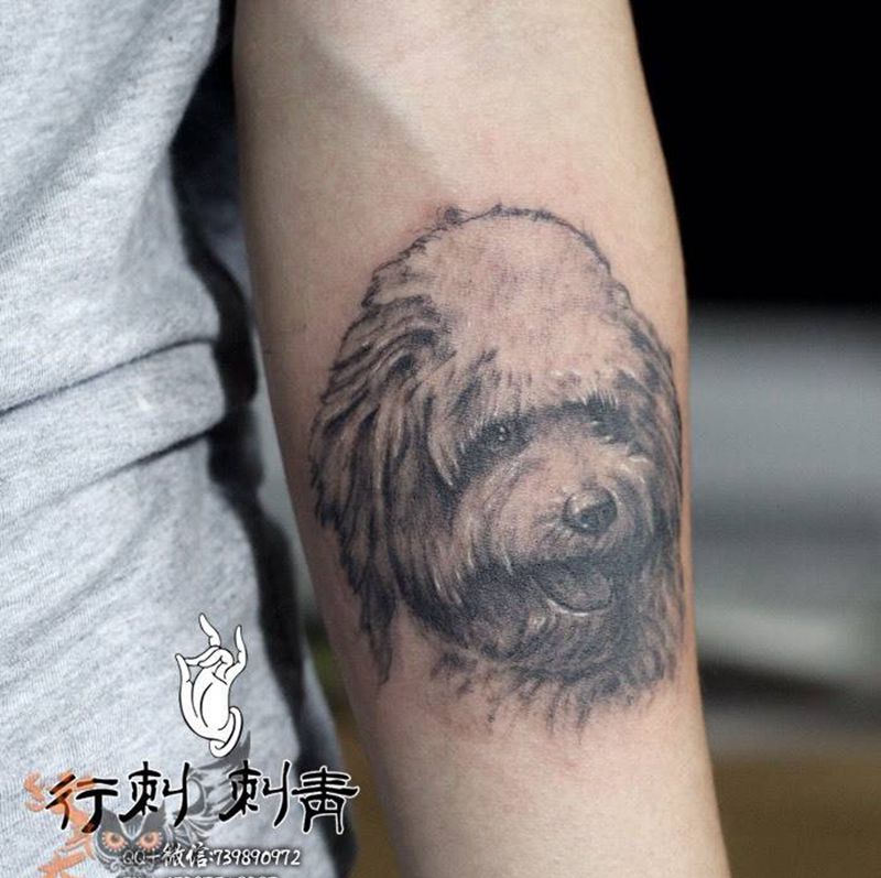 泰迪纹身图片_清新肖像写实动物纹身图案