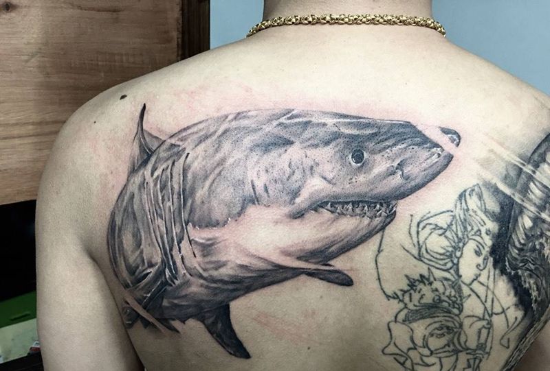 鲨鱼纹身图片