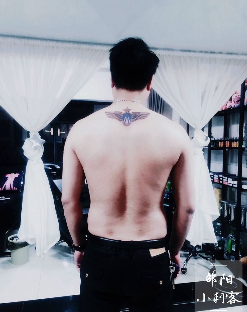 部队情怀，空军标志纹身图片_背部几何New School纹身图案