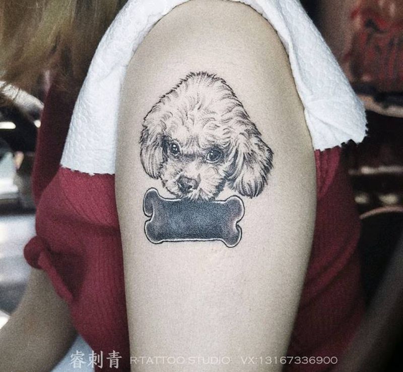 泰迪遮盖纹身图片_点刺纹身图案