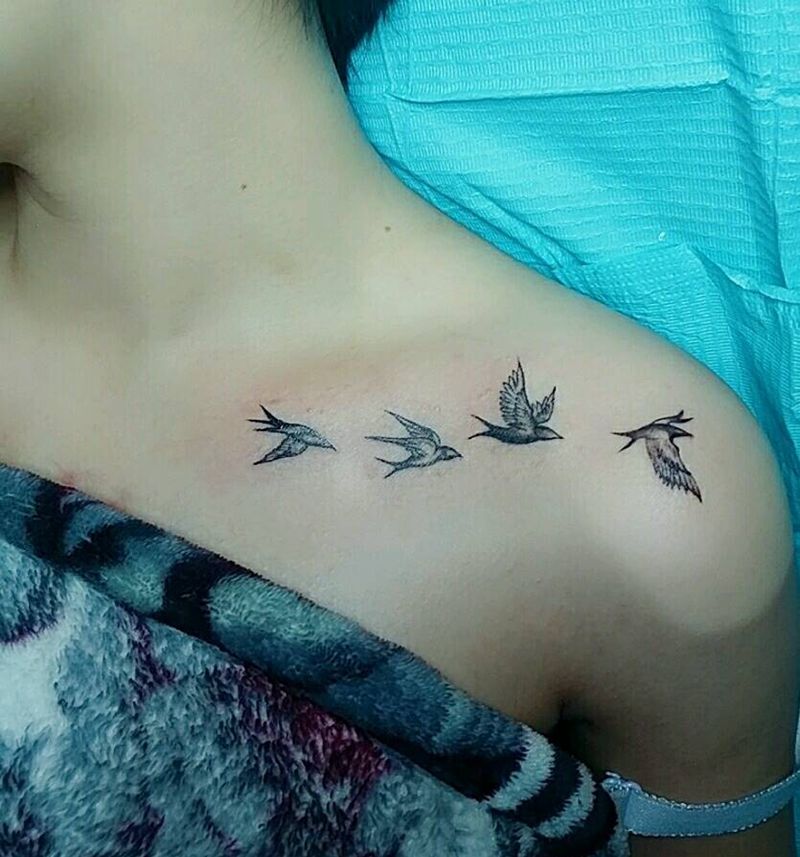 锁骨小燕子纹身图片_胸部纹身图案