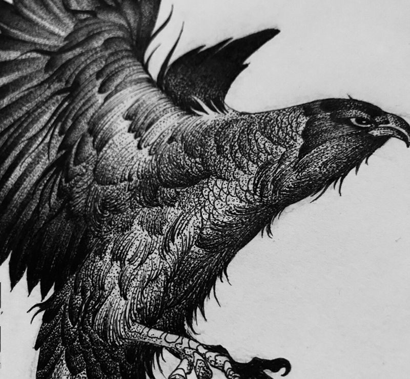 原创手稿，鹰。可约。纹身图片