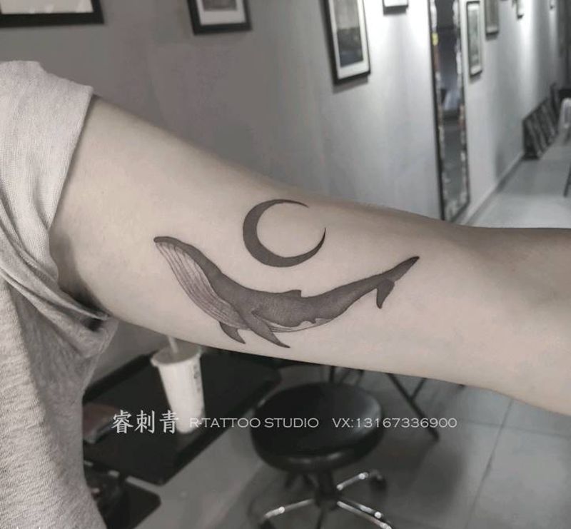 鲸鱼纹身图片