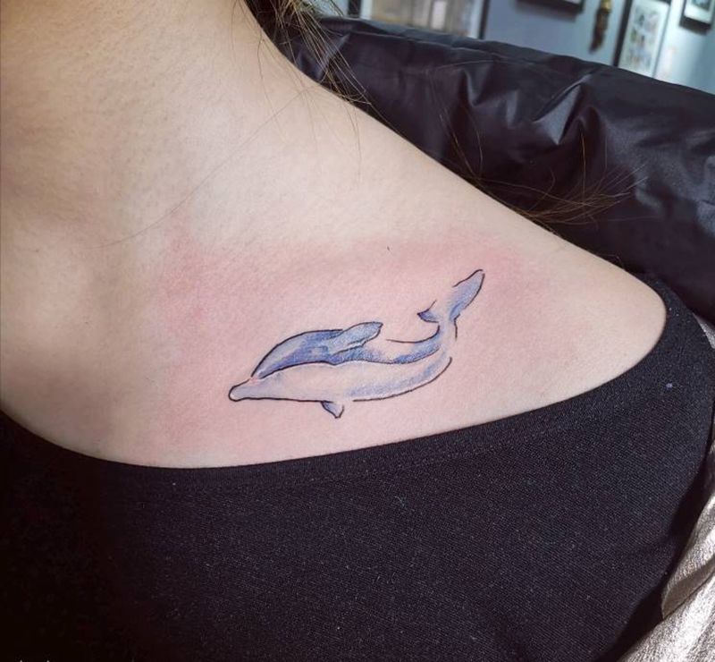 海豚纹身图片
