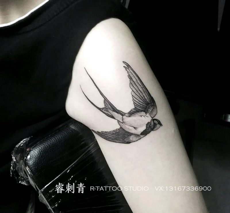 燕子纹身图片
