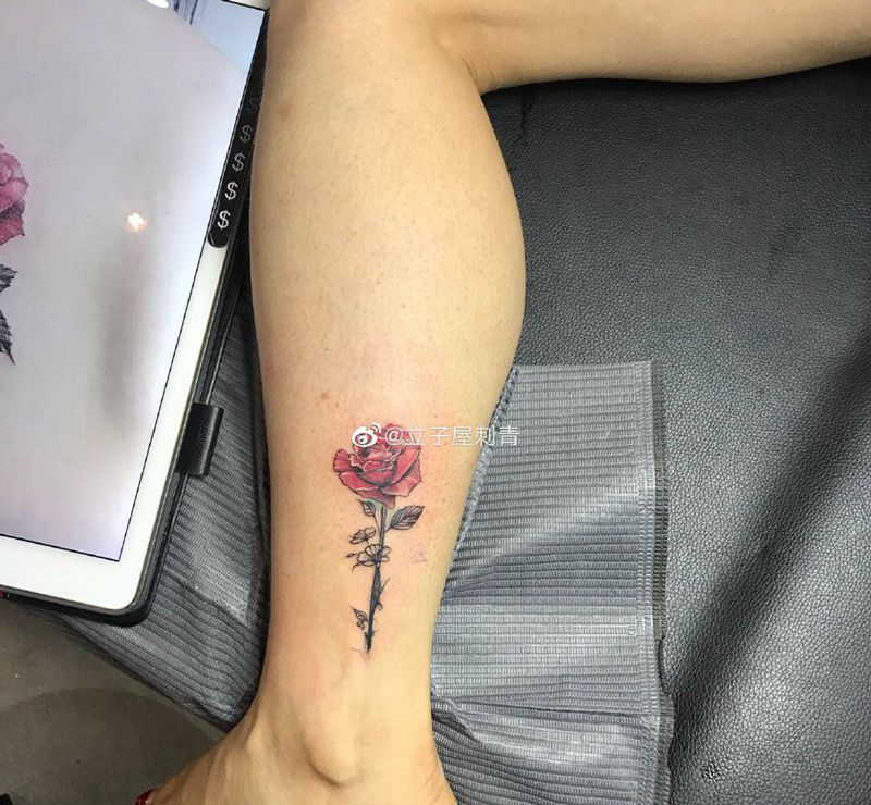 遮盖旧图纹身图片_腿部纹身图案