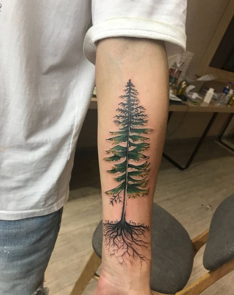 生命树。纹身图片