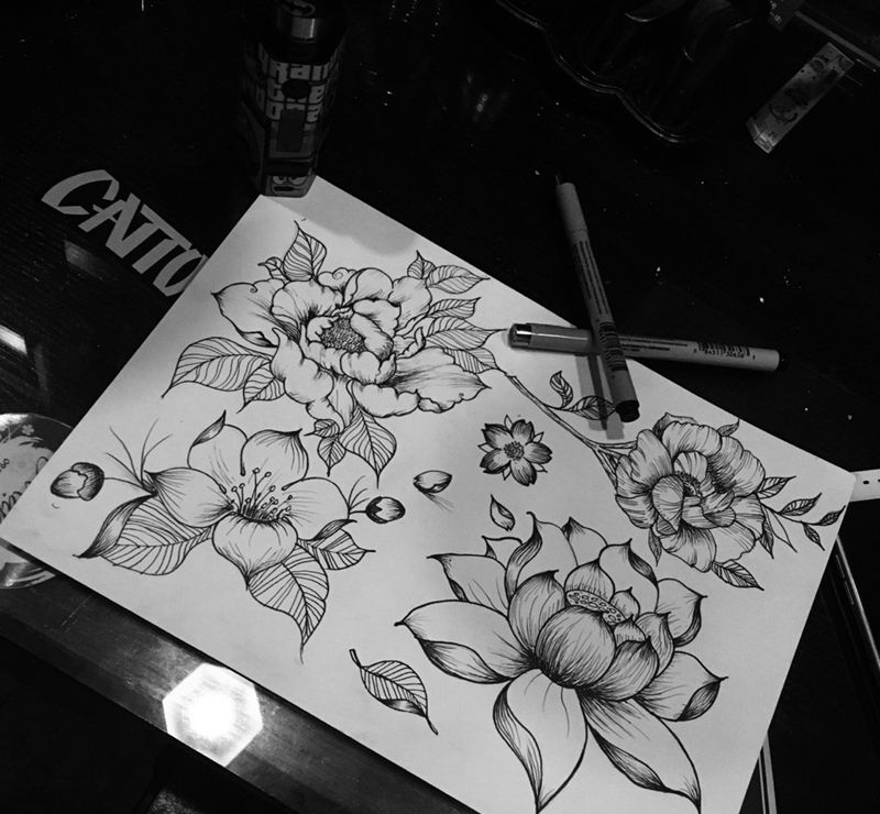 特价纹身手稿纹身图片_手稿胸部颈部肩部背部臀部手臂腿部植物清新纹身图案