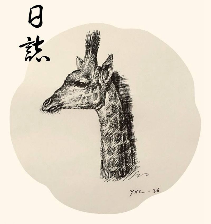 水性笔的表现力也不错纹身图片