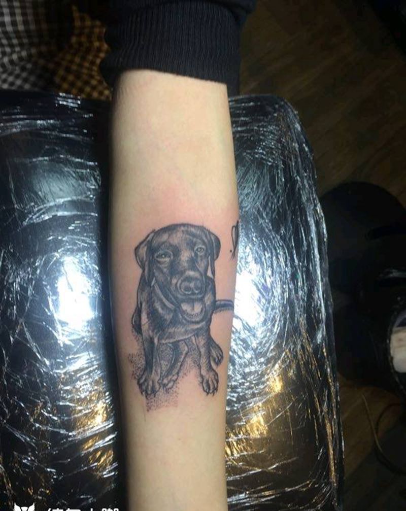 爱犬纹身图片