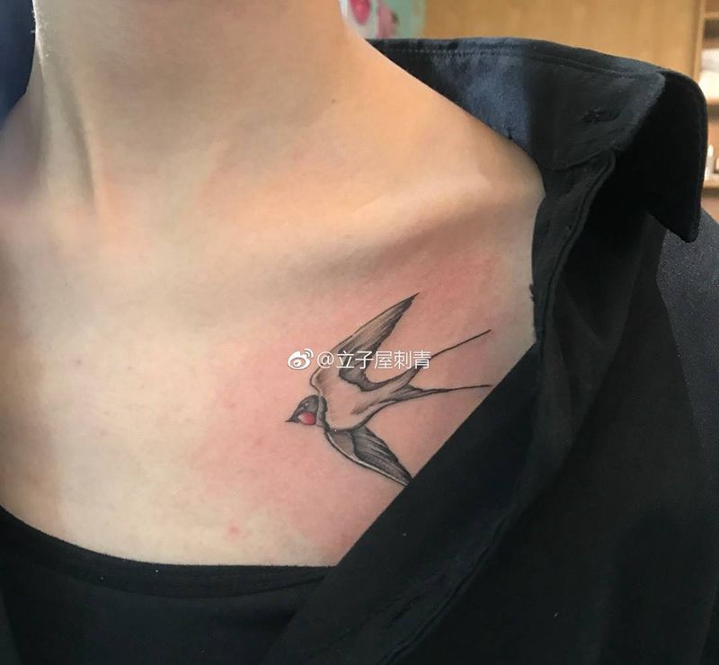小燕子纹身图片_胸部纹身图案