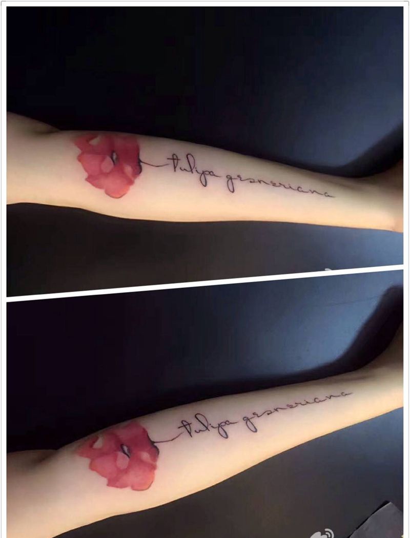 罂粟花 ➕ 英文纹身图片_成品手臂清新植物原创字符纹身图案