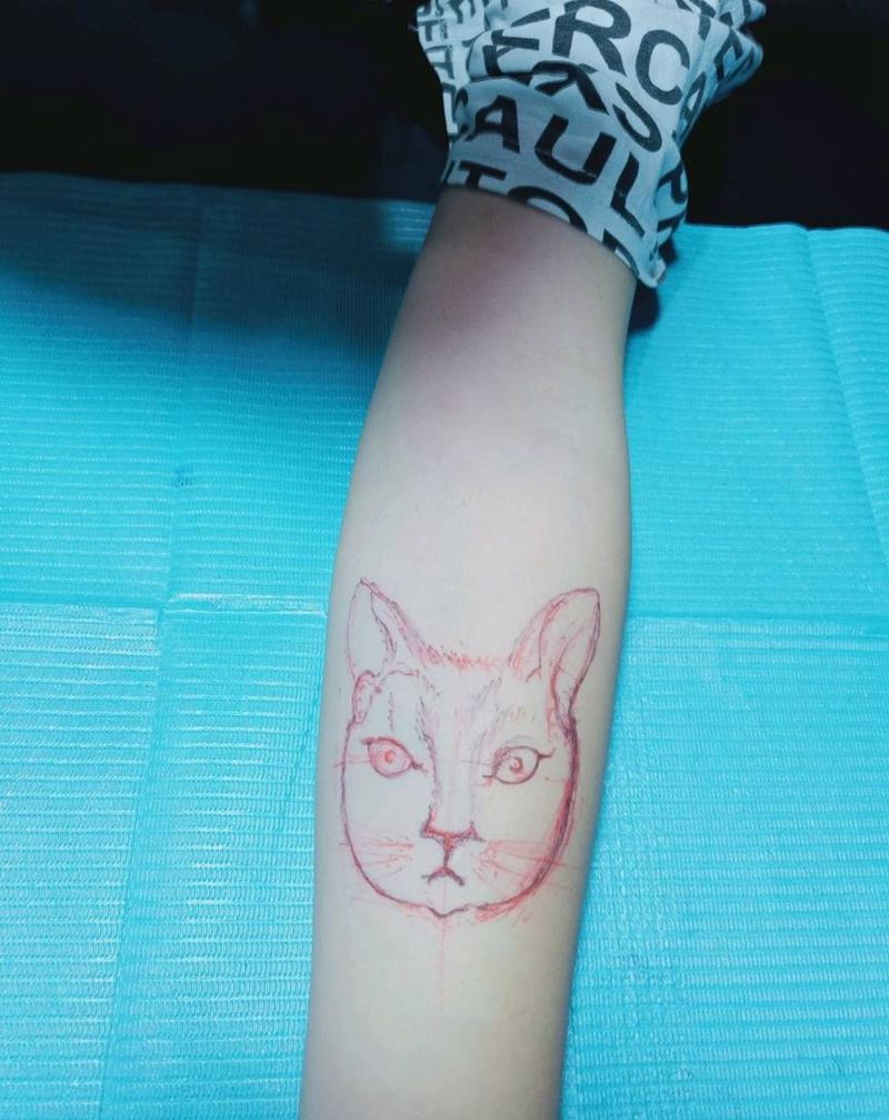 猫咪纹身图片_手臂纹身图案