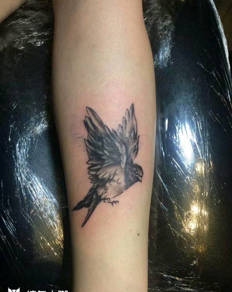 鸟（盖图）纹身图片