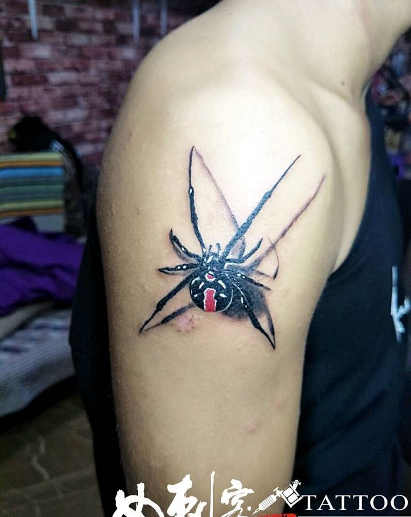 蜘蛛有毒纹身图片_手臂写实动物蜘蛛成品纹身图案