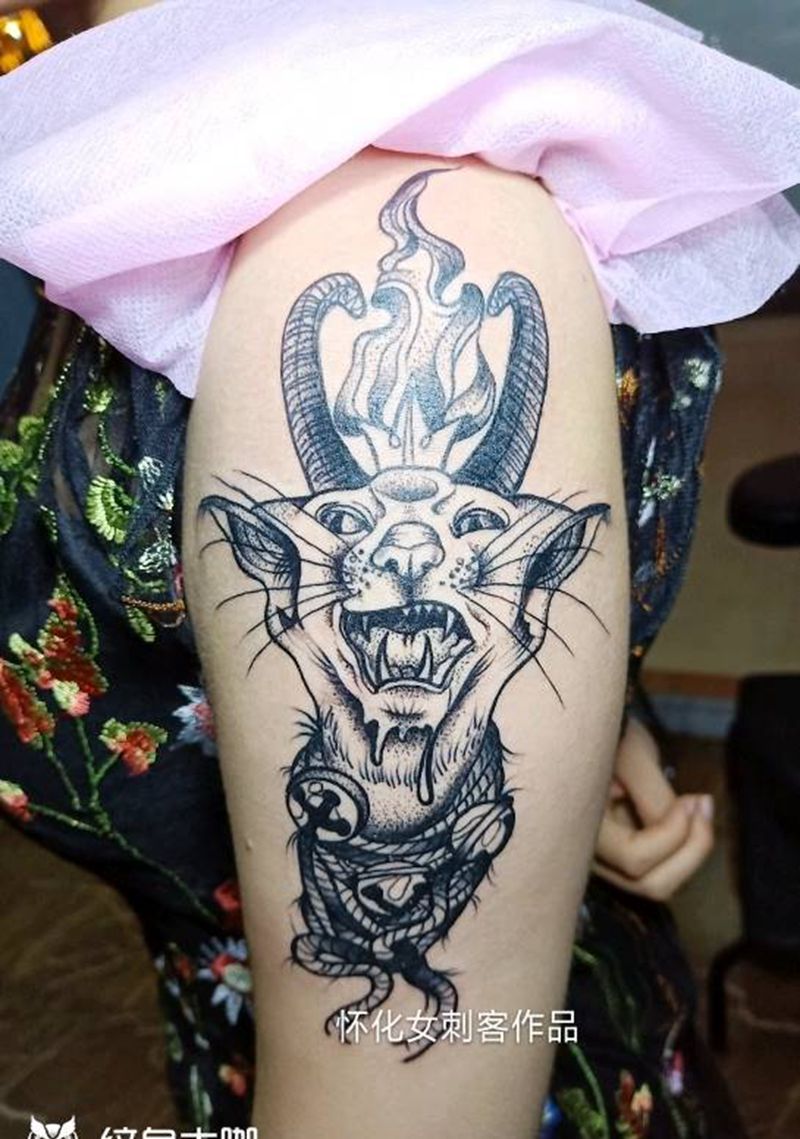 猫？纹身图片_欧美动物纹身图案