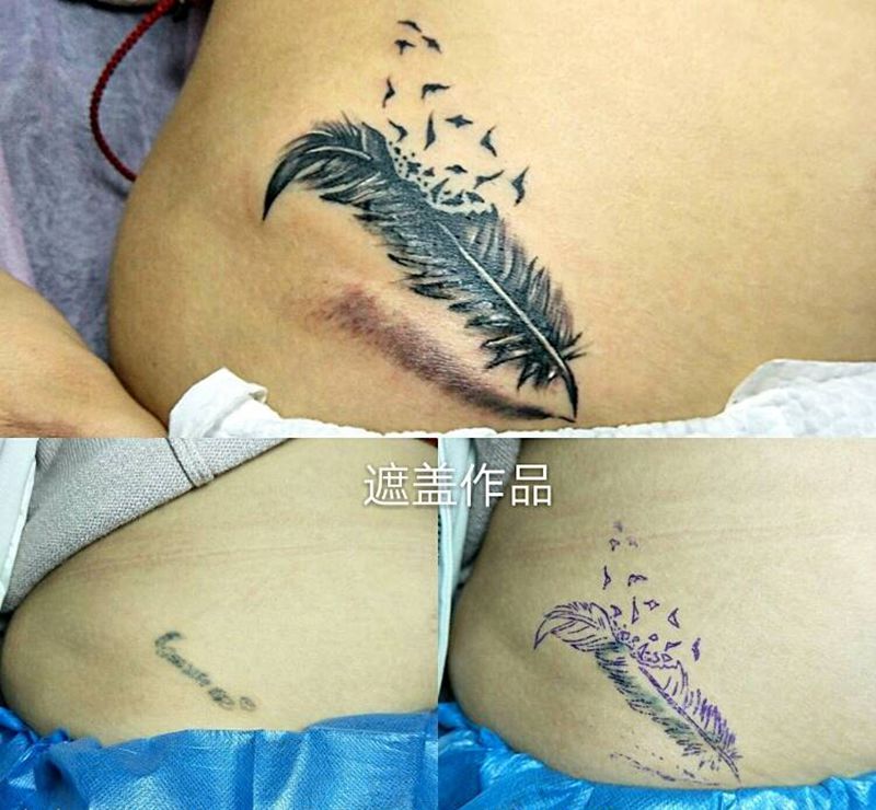 羽毛纹身图片_腹部清新纹身图案
