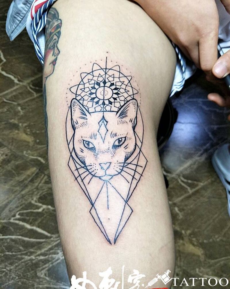 猫咪纹身图片_清新几何动物纹身图案
