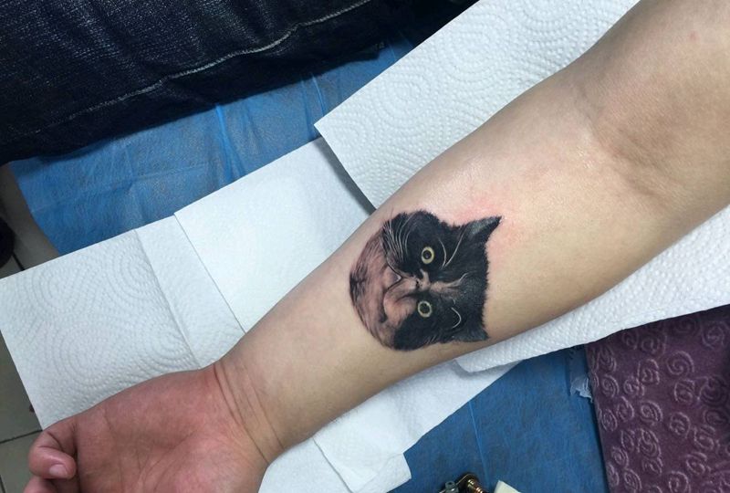 猫纹身图片
