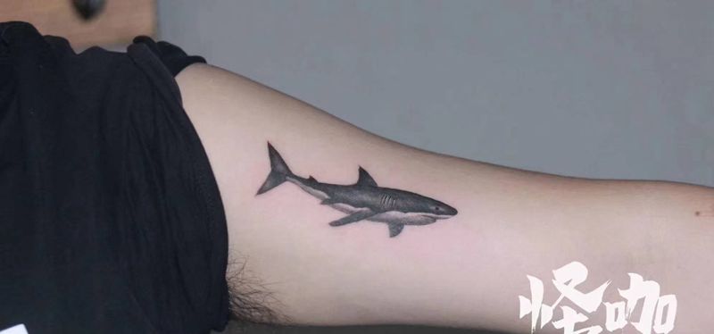 鲨鱼纹身图片_手臂纹身图案
