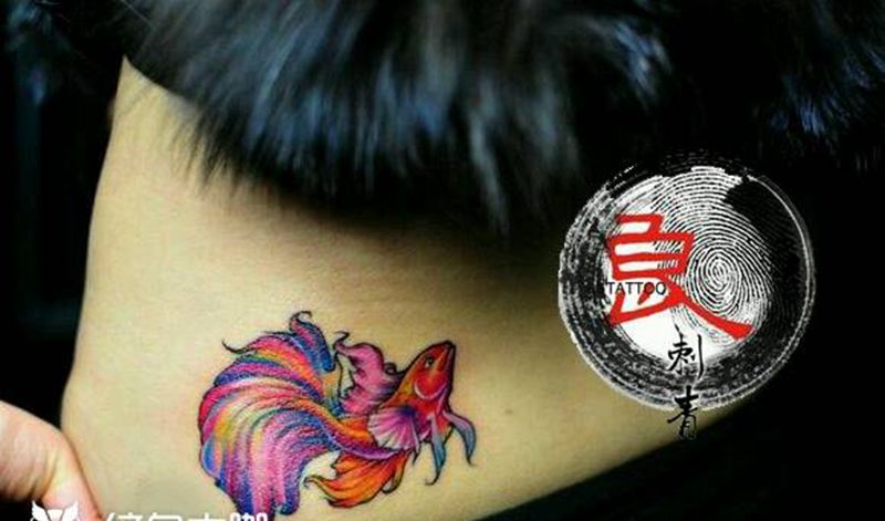 斗鱼纹身图片
