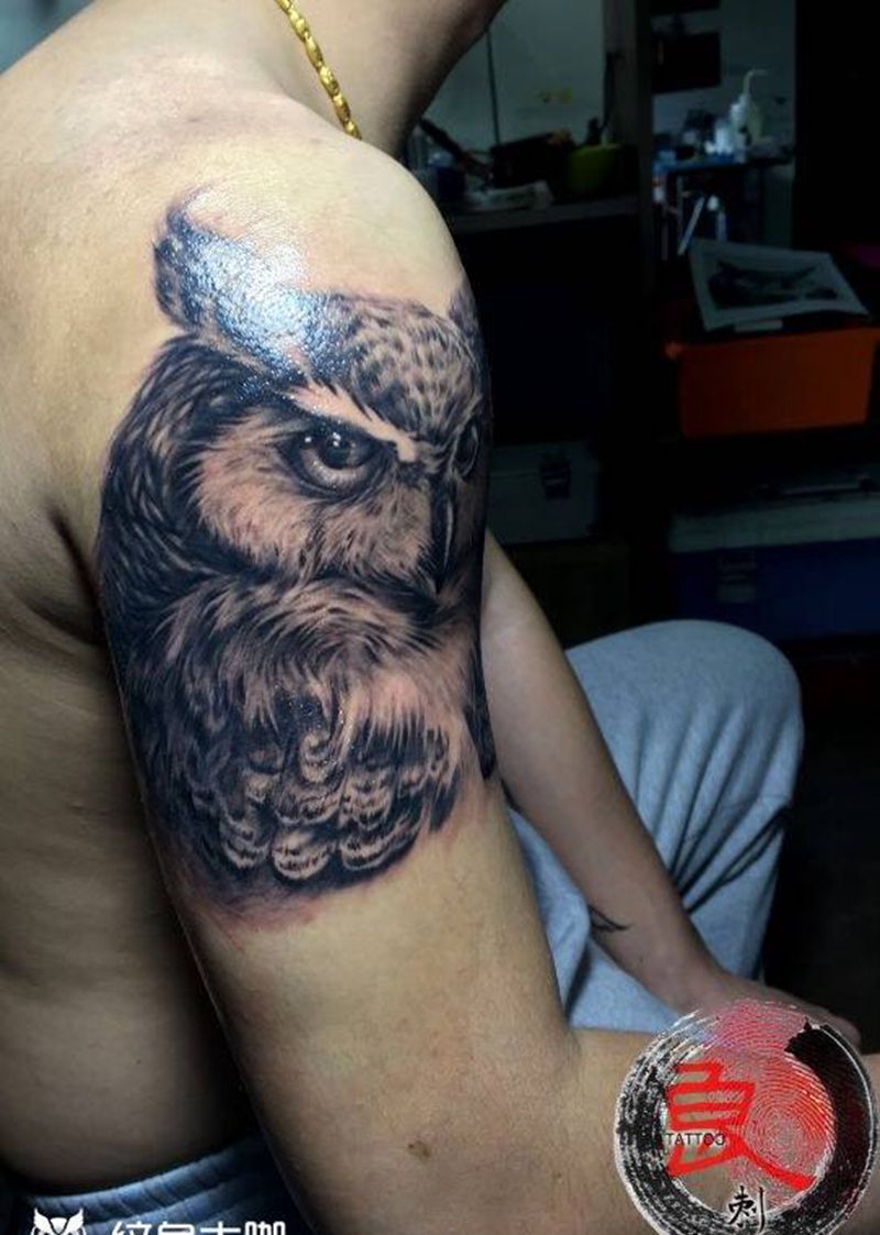 猫头鹰纹身图片