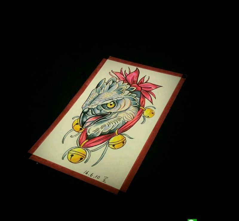 鹰头纹身图片_欧美动物手稿纹身图案