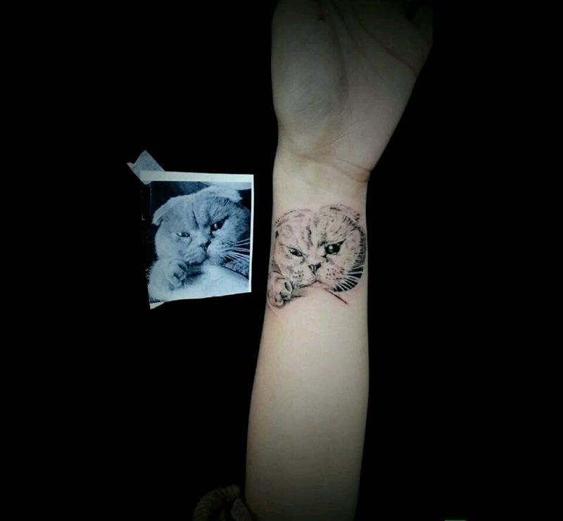 英短纹身图片_手臂动物原创成品纹身图案