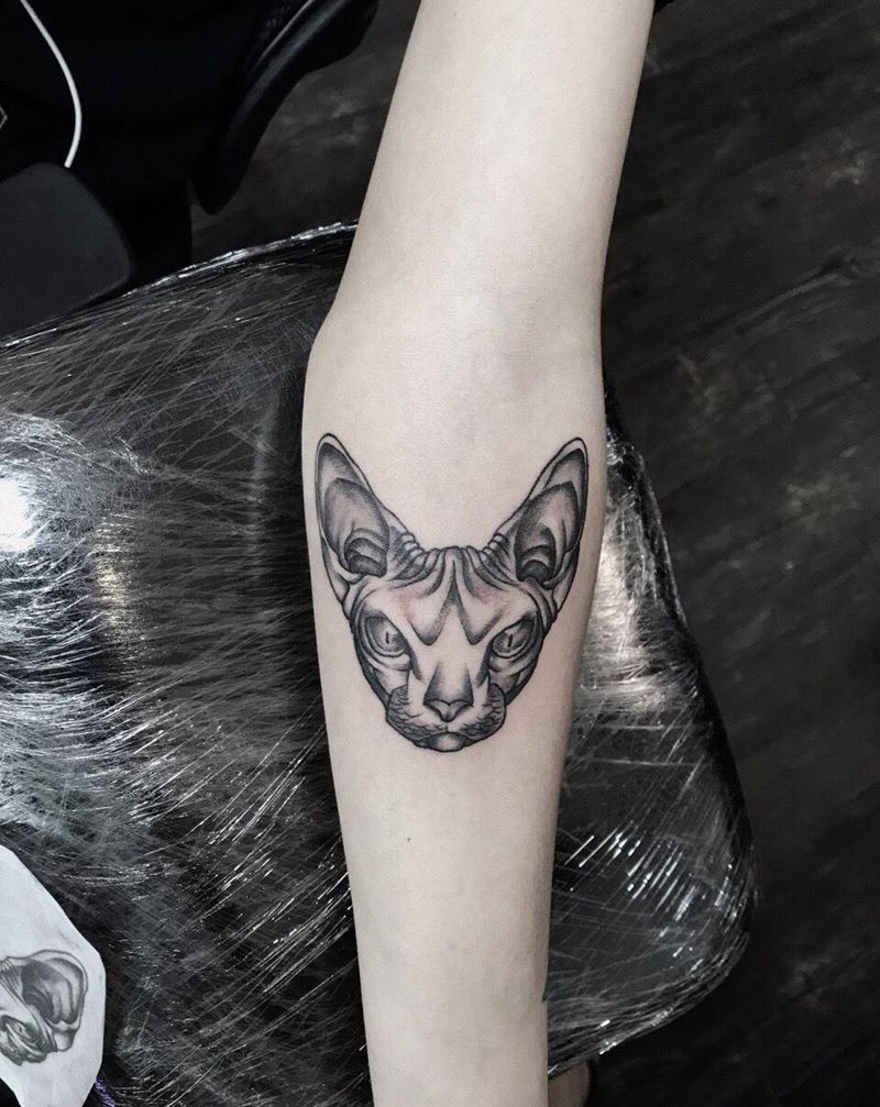 斯芬克斯猫纹身图片