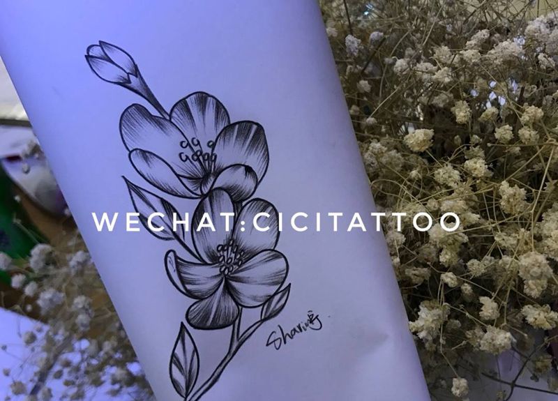 海棠花纹身图片