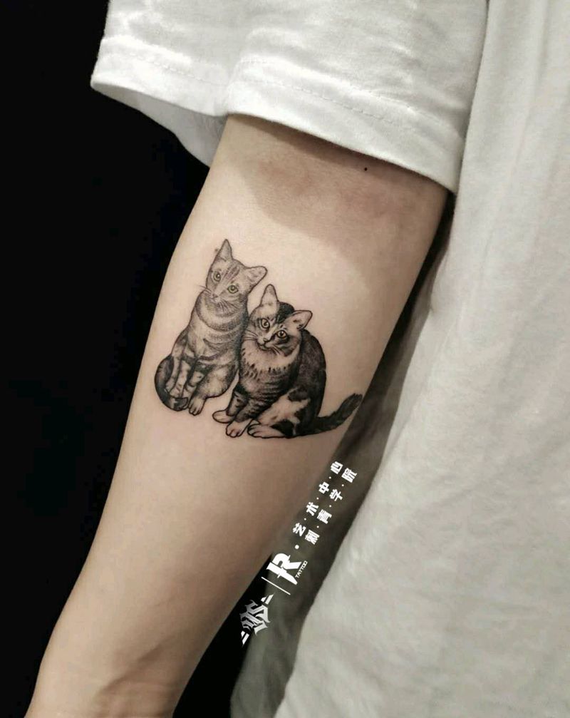 强行撸一起的猫儿纹身图片_手臂手部欧美写实猫小清新纹身图案