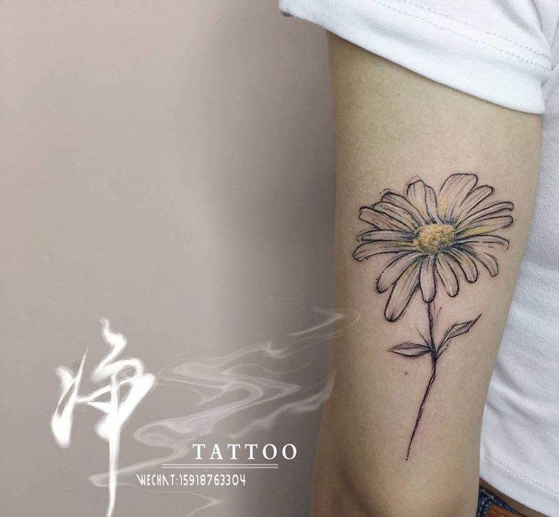 雏菊纹身图片_手部手臂水彩新传统花雏菊小清新纹身图案