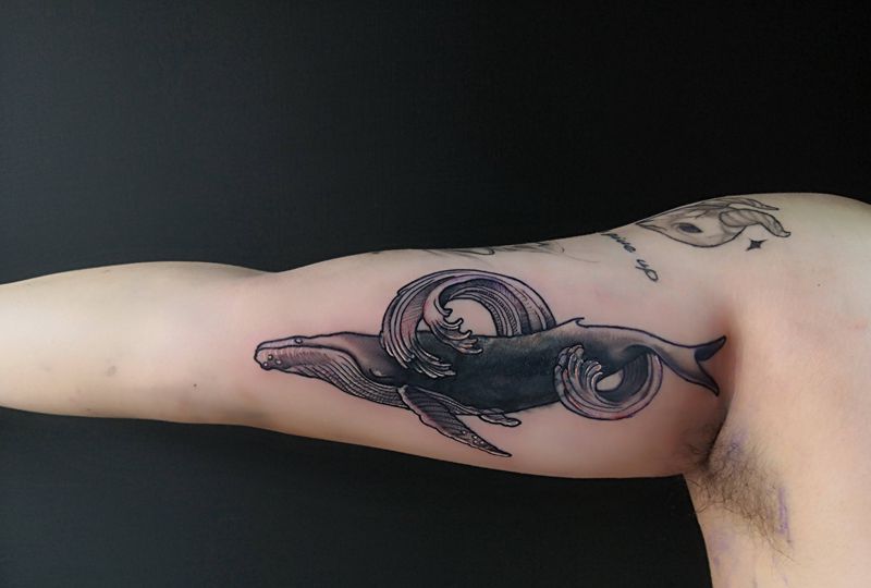 遮盖小花体字。纹身图片_手臂欧美写实遮盖鲸鱼纹身图案
